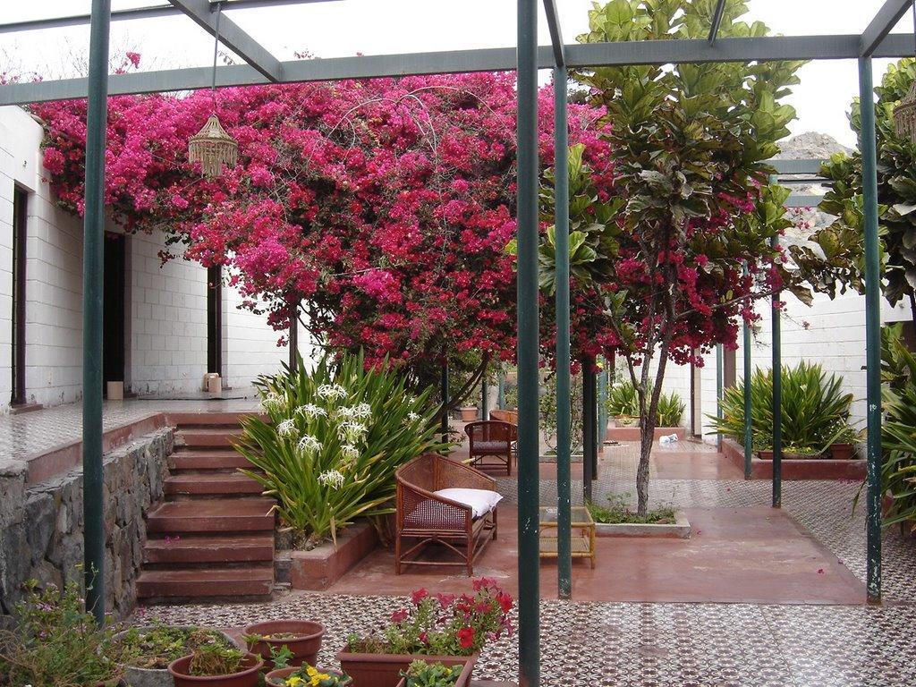 Hosteria Chanaral المظهر الخارجي الصورة